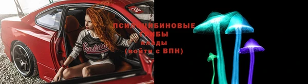 круглые Абаза