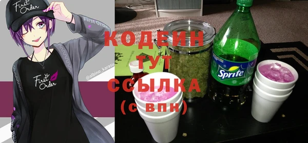 индика Каменногорск
