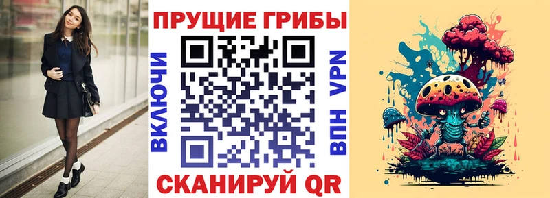 площадка телеграм  Зерноград  Псилоцибиновые грибы Psilocybine cubensis 