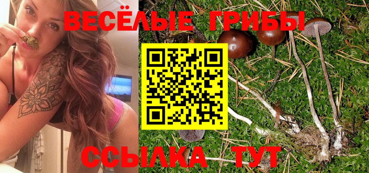 Псилоцибиновые грибы мухоморы  Псилоцибиновые грибы мицелий  цена   Зерноград  Вход с VPN 