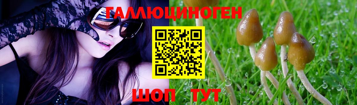 Псилоцибиновые грибы Magic Shrooms Зерноград
