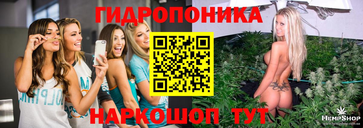 Зерноград  Бошки марихуана тримм  Вход с VPN  Бошки марихуана MAZAR  Бошки Шишки семена 
